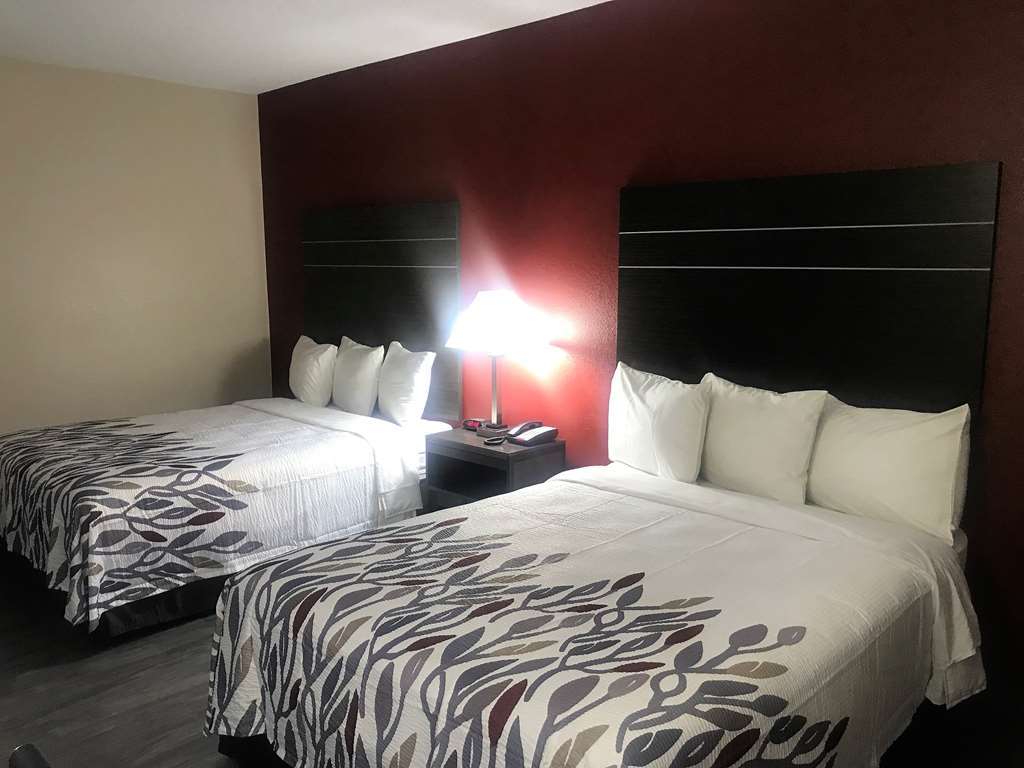 Red Roof Inn & Suites Austin East - Manor Номер фото